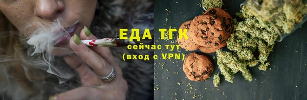спиды Новозыбков