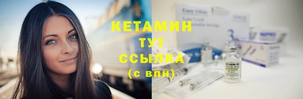 спиды Новозыбков