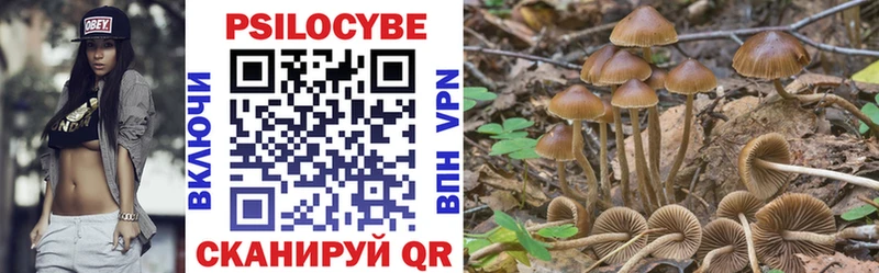 купить  сайты  Новомичуринск  Псилоцибиновые грибы Cubensis 