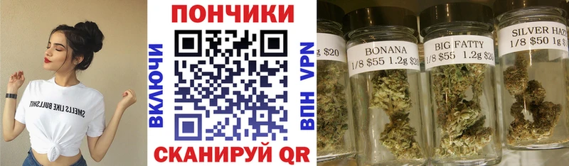 MEGA ONION  купить   Новомичуринск  Бошки Шишки марихуана 